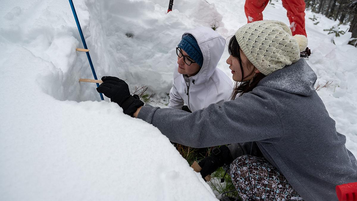 两个学生用冰棒棒测量雪坑中雪层之间的距离.