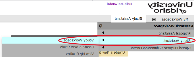 Expanded menu with highlighted hierarchical menu items titled "Study Assistant" and "Study Workspace" respectively.